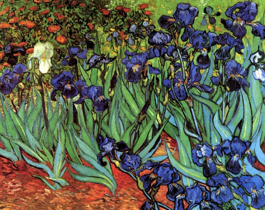 Irises by Van Gogh