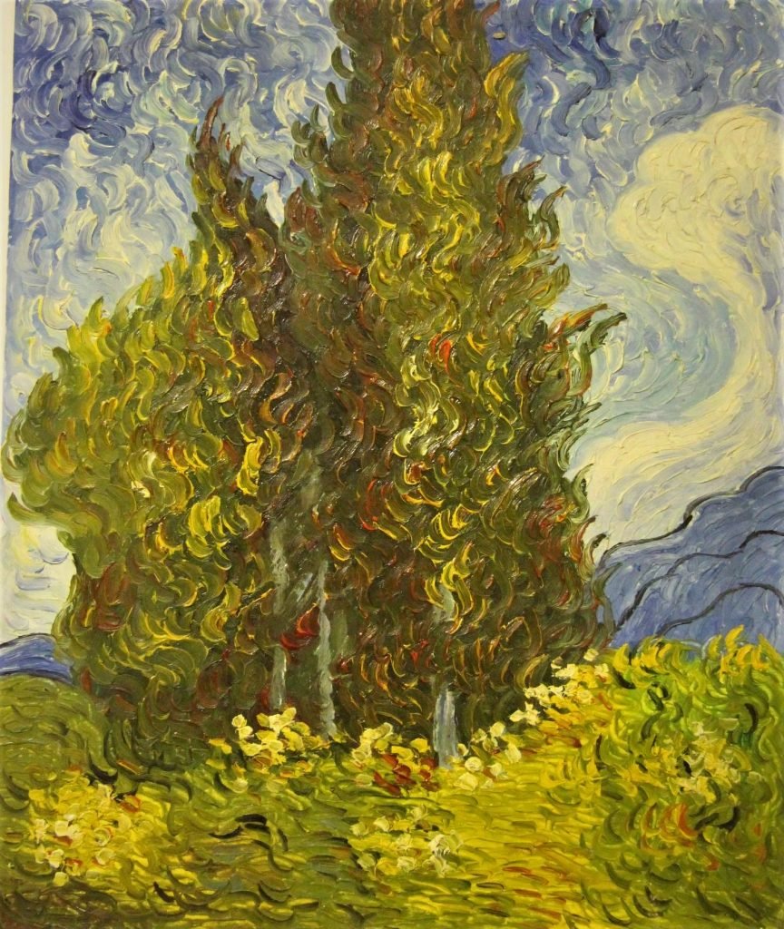 Cypresses