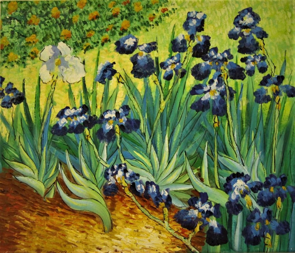 Irises